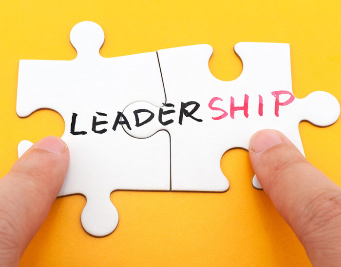 Il tocco leggero della Leadership agile